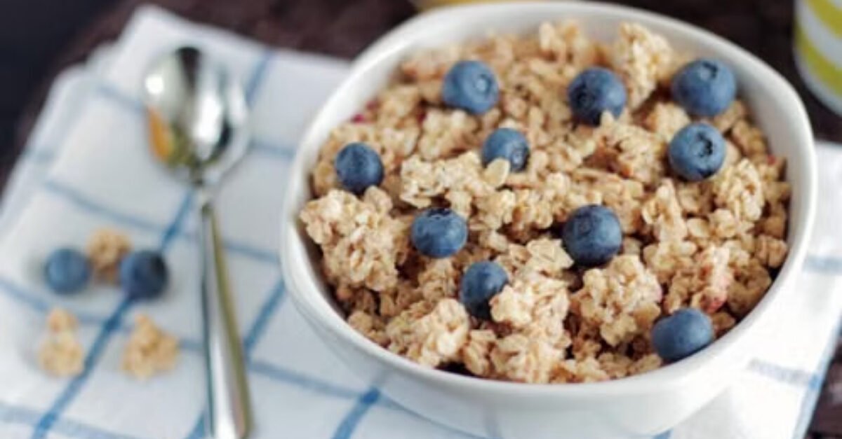 High Protein Blueberry Oat Bars – Healthy Breakfast or Snack