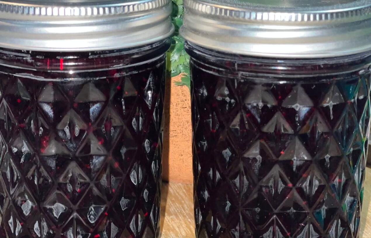 Sugar-Free Blueberry Chia Jam Recipe