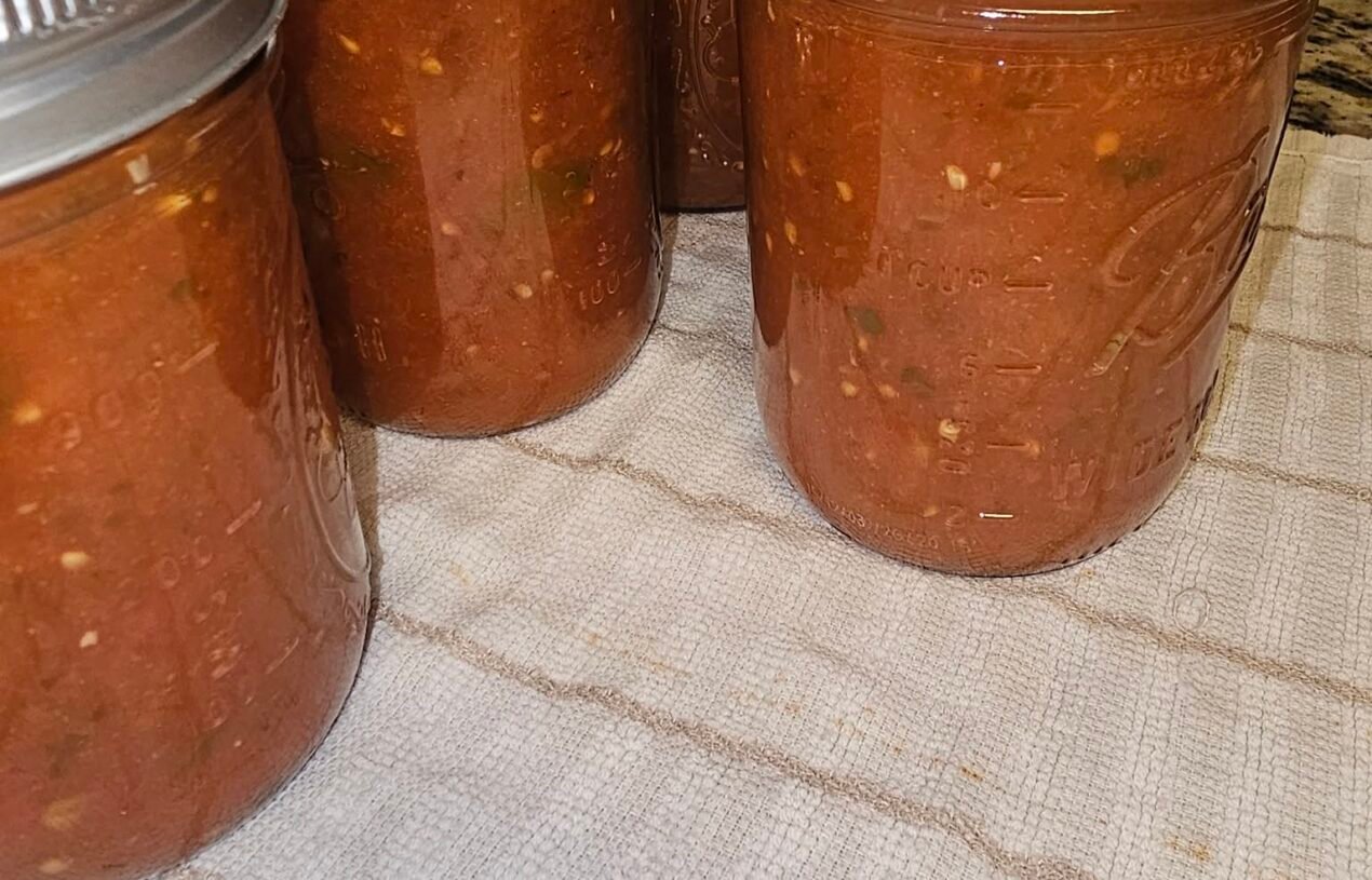 High-Protein Salsa Recipe: Low-Carb & Keto-Friendly Dip