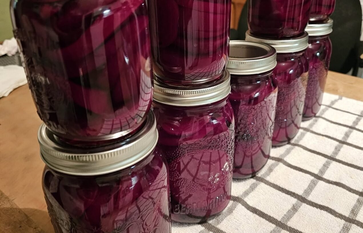 Tangy Homemade Pickled Beet Slices