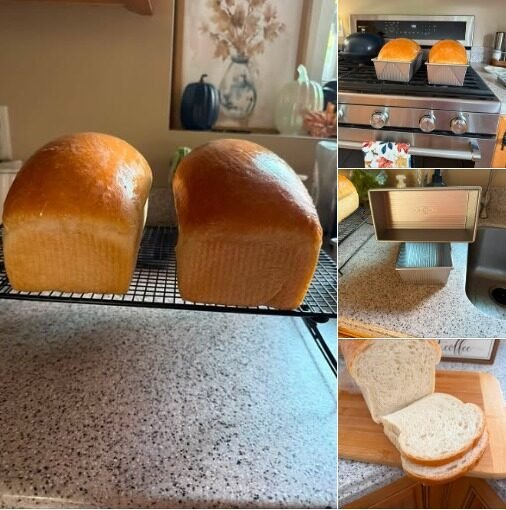 High Protein Low Carb White Bread Recipe